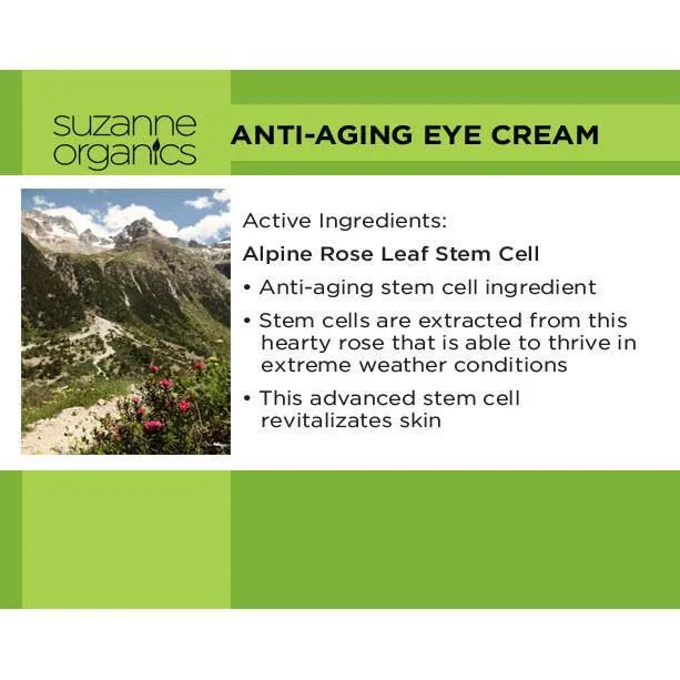 Anti‐Aging Eye Cream